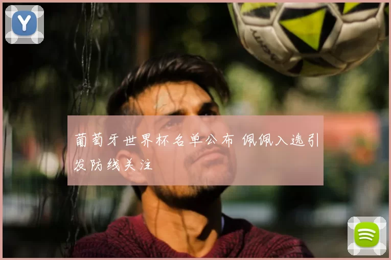 葡萄牙世界杯名单公布 佩佩入选引发防线关注