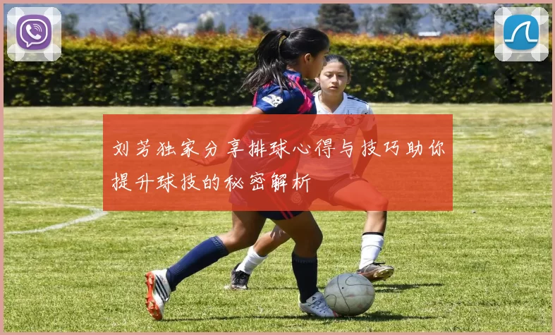 刘芳独家分享排球心得与技巧助你提升球技的秘密解析