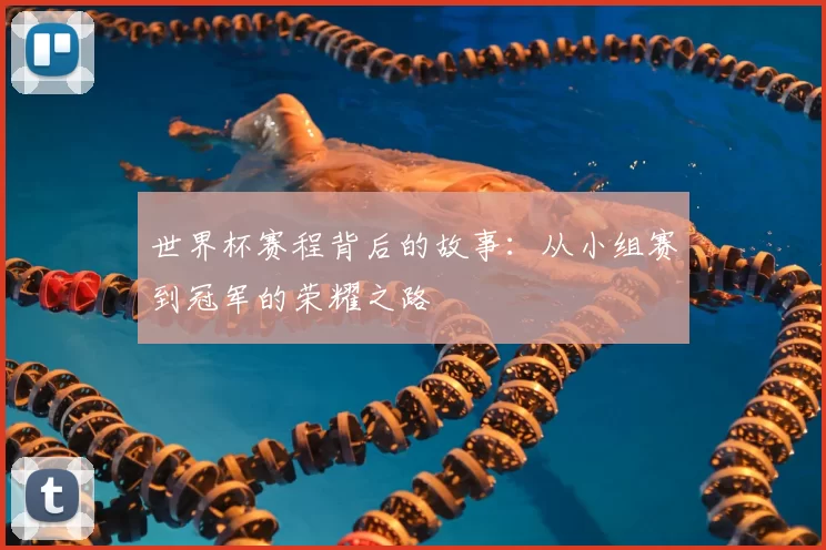 世界杯赛程背后的故事：从小组赛到冠军的荣耀之路