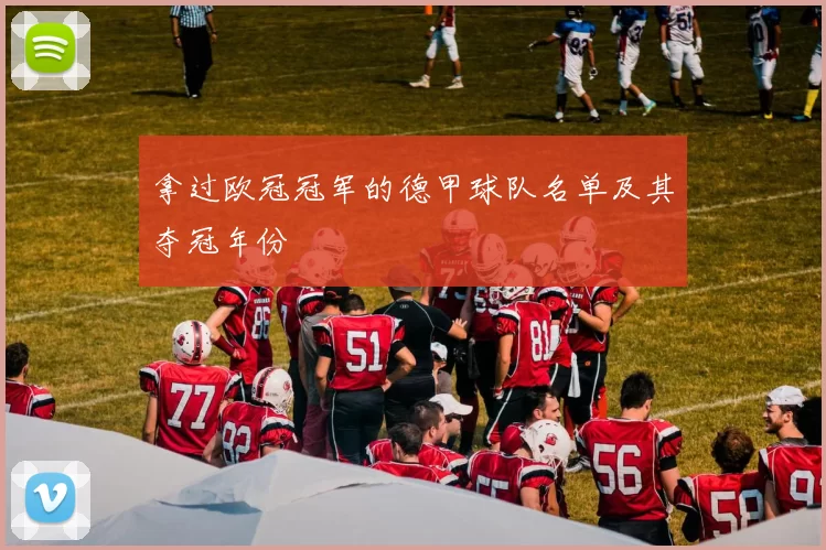 拿过欧冠冠军的德甲球队名单及其夺冠年份
