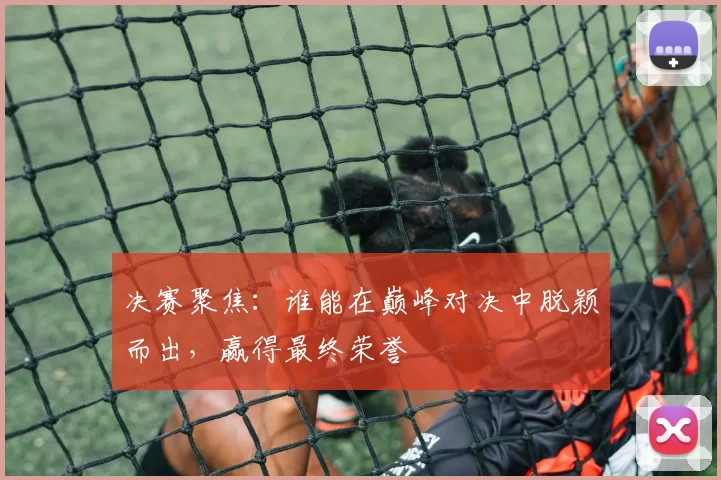 决赛聚焦:谁能在巅峰对决中脱颖而出,赢得最终荣誉