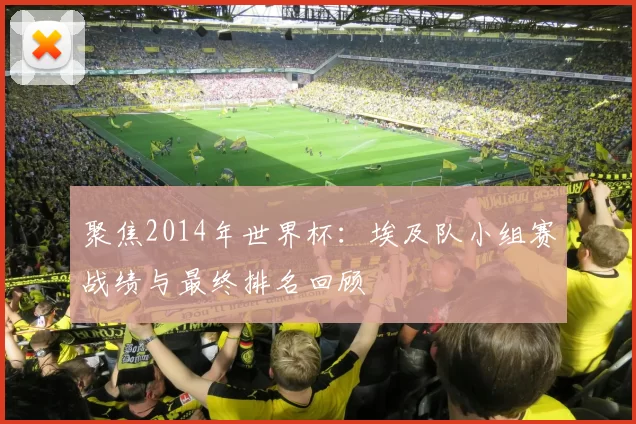 聚焦2014年世界杯：埃及队小组赛战绩与最终排名回顾