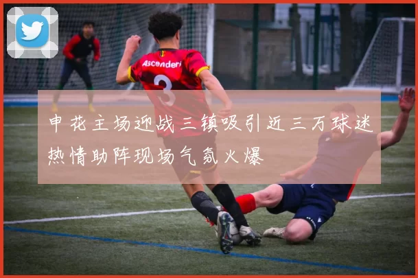 申花主场迎战三镇吸引近三万球迷热情助阵现场气氛火爆