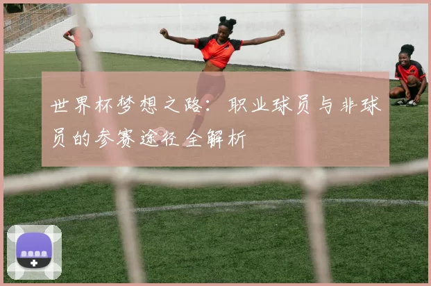 世界杯梦想之路：职业球员与非球员的参赛途径全解析