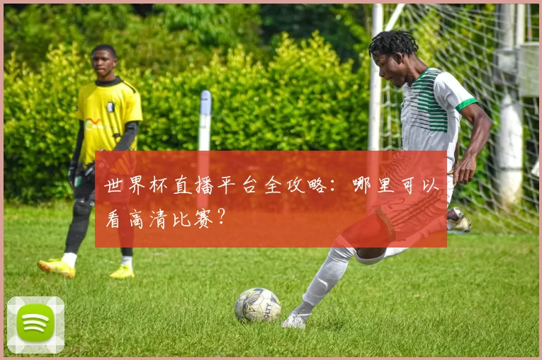 世界杯直播平台全攻略：哪里可以看高清比赛？