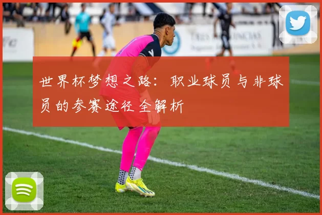 世界杯梦想之路：职业球员与非球员的参赛途径全解析