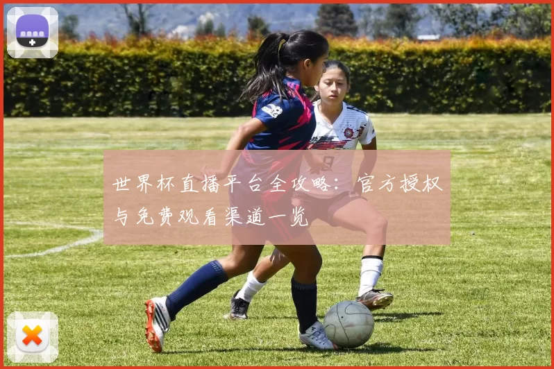 世界杯直播平台全攻略：官方授权与免费观看渠道一览
