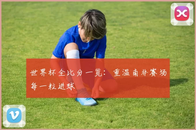 世界杯全比分一览：重温南非赛场每一粒进球