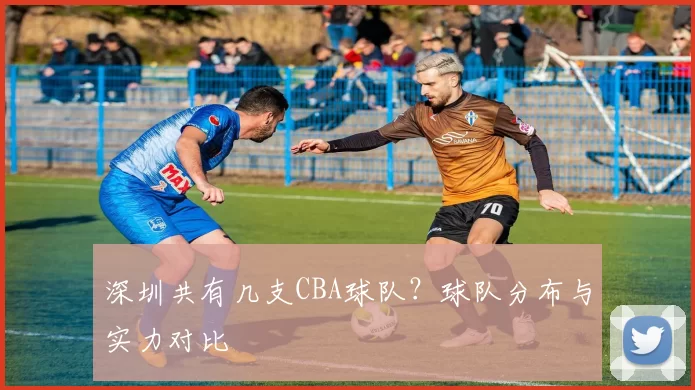 深圳共有几支CBA球队？球队分布与实力对比