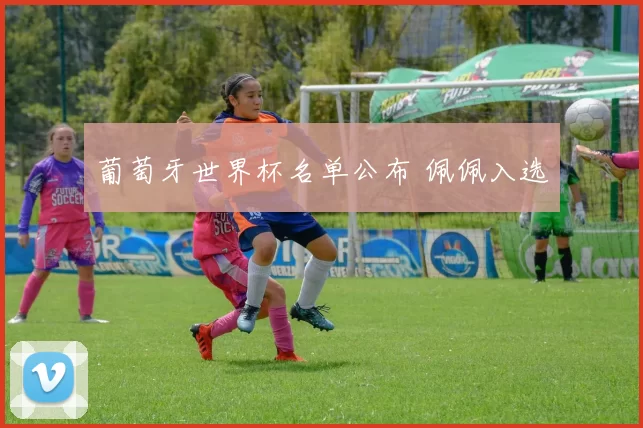 葡萄牙世界杯名单公布 佩佩入选