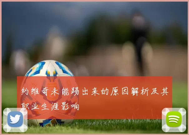 约维奇未能踢出来的原因解析及其职业生涯影响