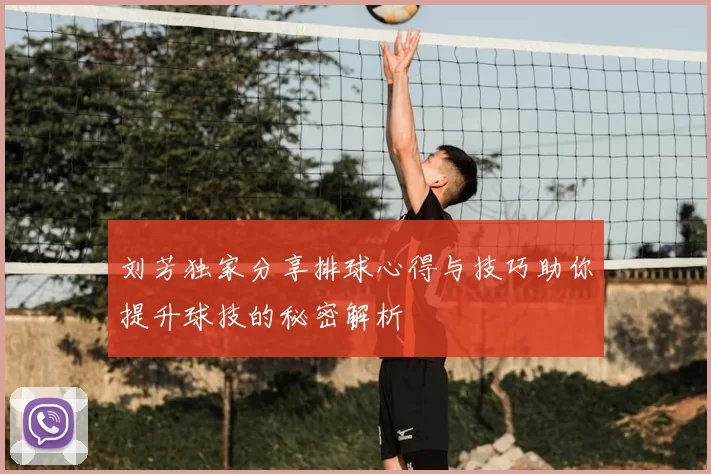 刘芳独家分享排球心得与技巧助你提升球技的秘密解析
