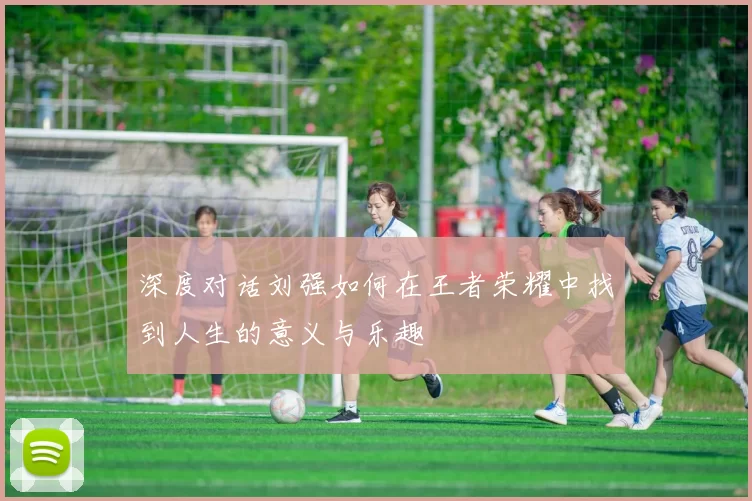 深度对话刘强如何在王者荣耀中找到人生的意义与乐趣