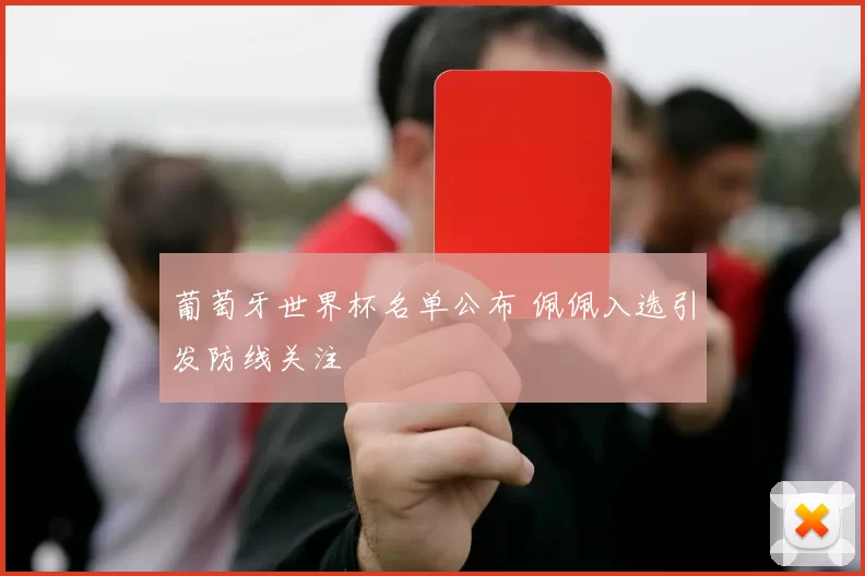 葡萄牙世界杯名单公布 佩佩入选引发防线关注