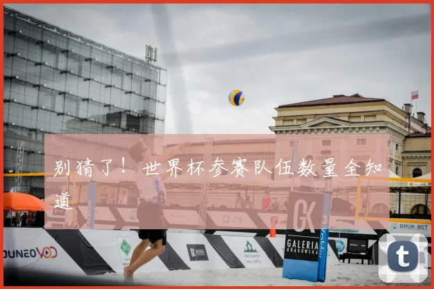 别猜了!世界杯参赛队伍数量全知道